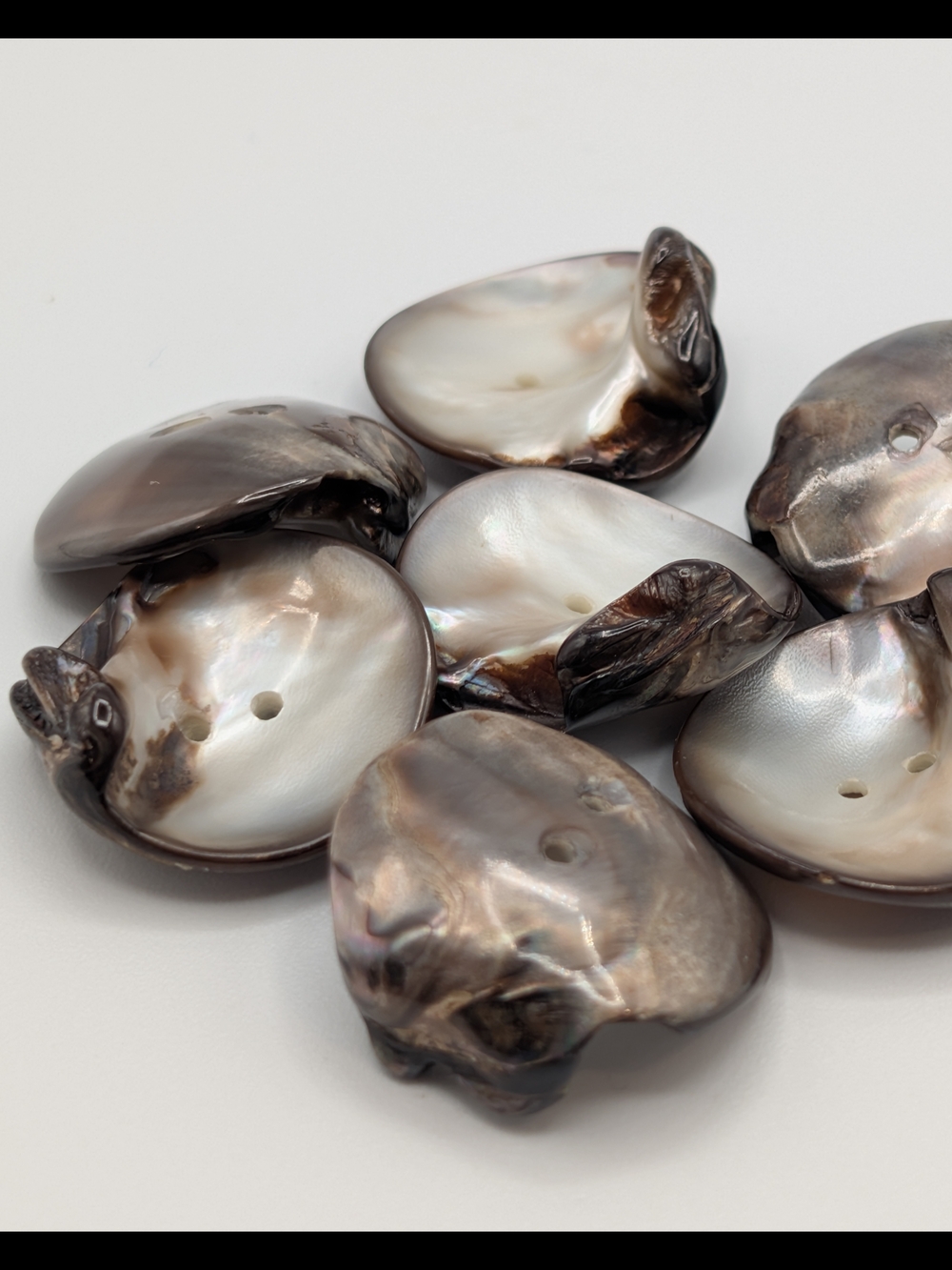 Natural Shell Buttons - Picture 4 of 6